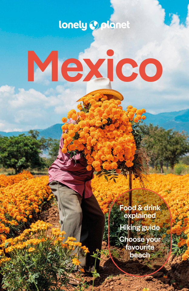 Lonely Planet Mexico: Plan the Trip of a Lifetime | Detailed Itineraries & Maps | Insider Tips | Covers ETulum, Oaxaca, Copper Canyon and more (Travel Guide) book cover by Joel Balsam, Regis St Louis, Jennifer Fernández Solano, John Hecht, Anna Kaminski, Iain Stewart, Paul Stafford, Nellie Huang, Liza Prado, Lonely Planet, Phillip Tang, Brendan Sainsbury
