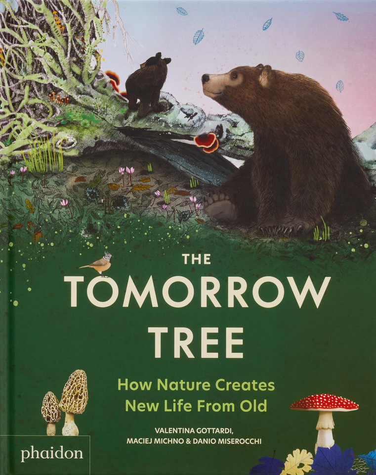 The Tomorrow Tree: How Nature Creates New Life From Old book cover by Danio Miserocchi, Maciej Michno