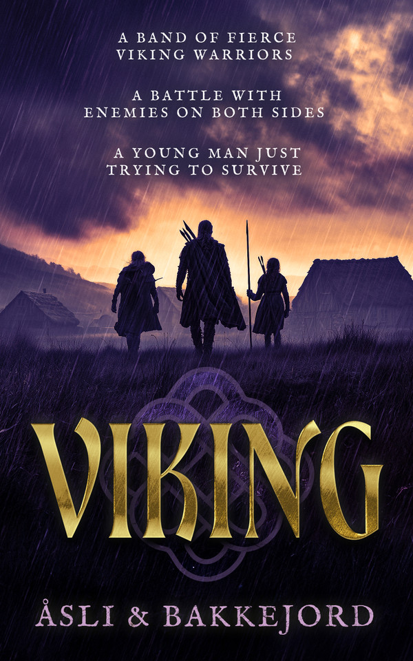 Viking: A Viking Historical Fiction Adventure (Viking Ventures #1) book cover by Ole Åsli, Tony Bakkejord