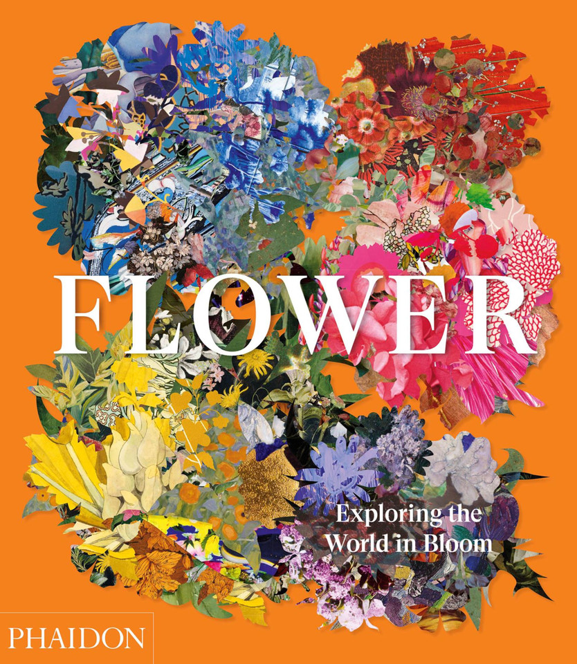 Flower: Exploring the World in Bloom book cover by Phaidon Editors