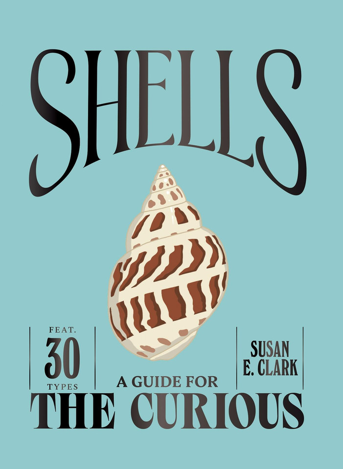Shells (A Guide For the Curious) book cover by Susan E. Clark