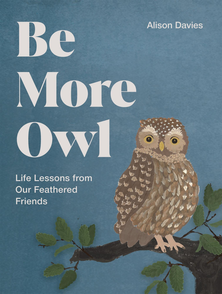 Be More Owl: Life Lessons from Our Feathered Friends (Be More...) book cover by Alison Davies