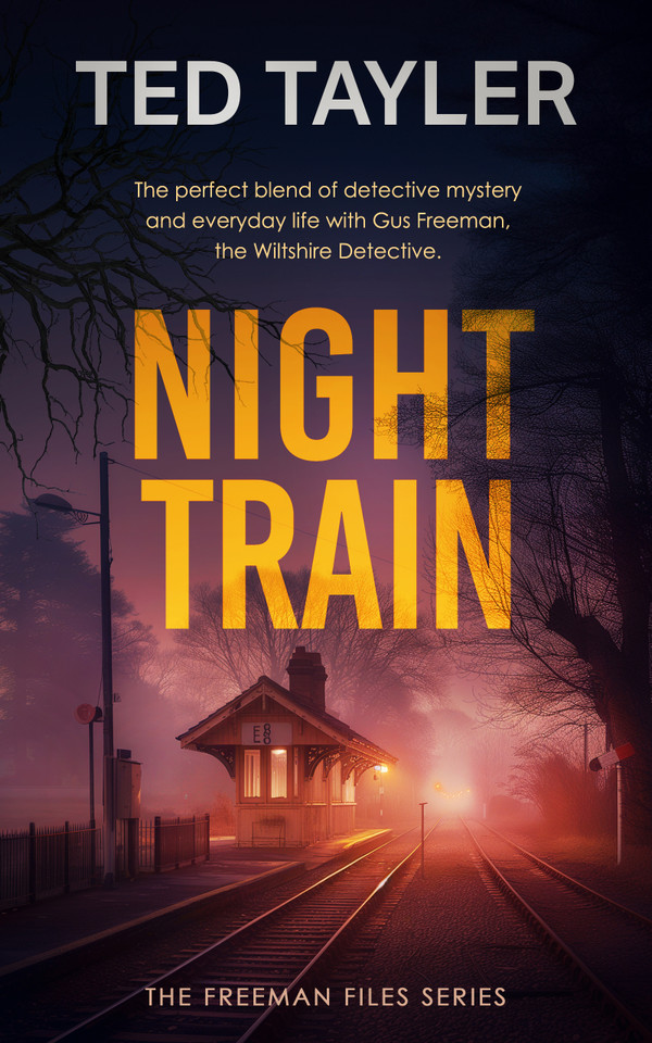 Night Train: A Cold Case Murder Mystery Series book cover by Ted Tayler