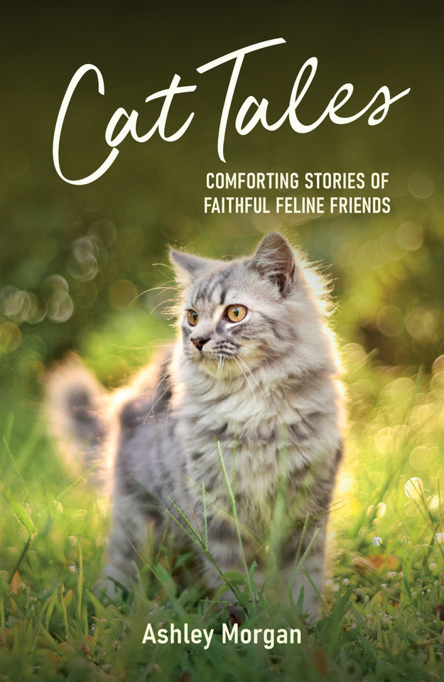 Cat Tales: Comforting Stories of Faithful Feline Friends book cover by Ashley Morgan