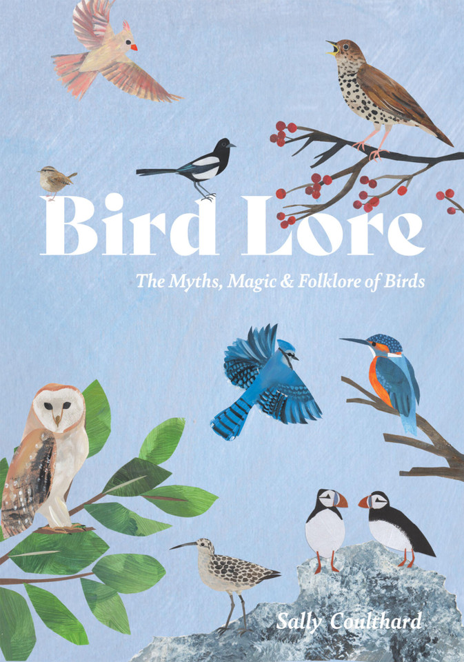 Bird Lore: The Myths, Folklore and Meaning of Birds book cover by Sally Coulthard