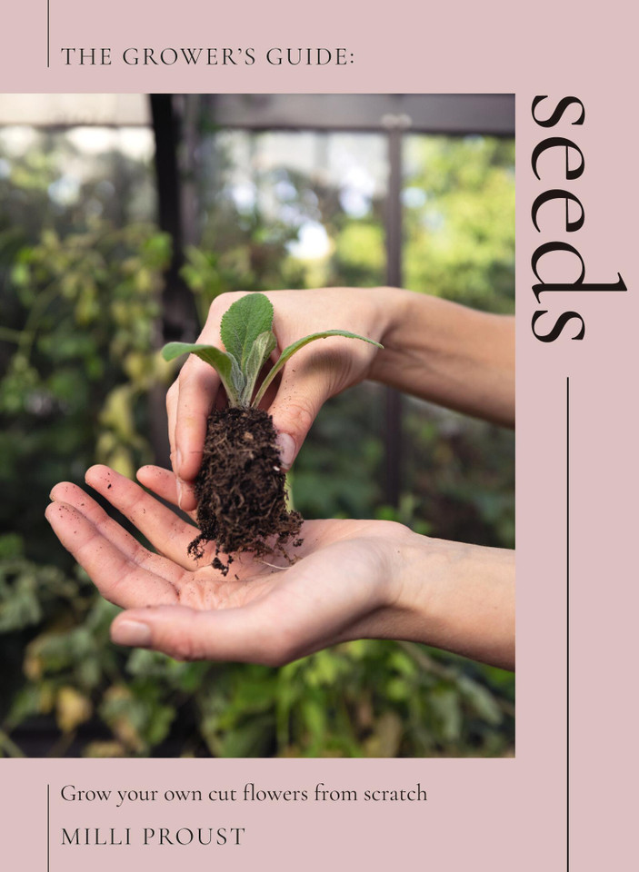 Seeds: Grow Your Own Cut Flowers from Scratch book cover by Milli Proust