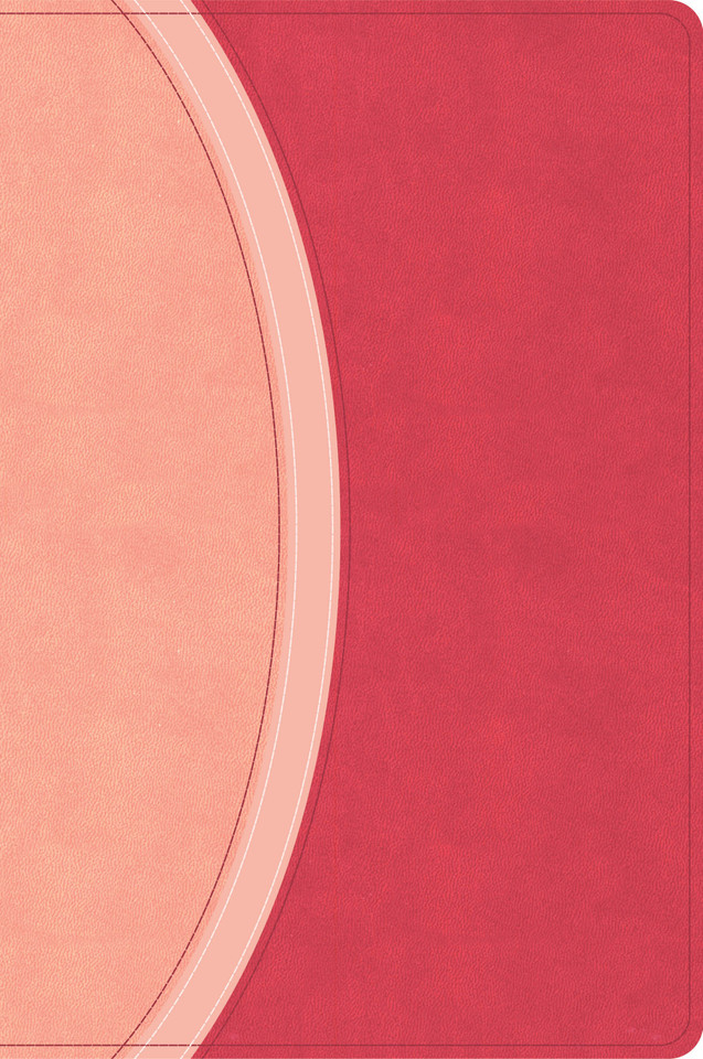 CSB Rainbow Study Bible, Pink LeatherTouch book cover by CSB Bibles by Holman