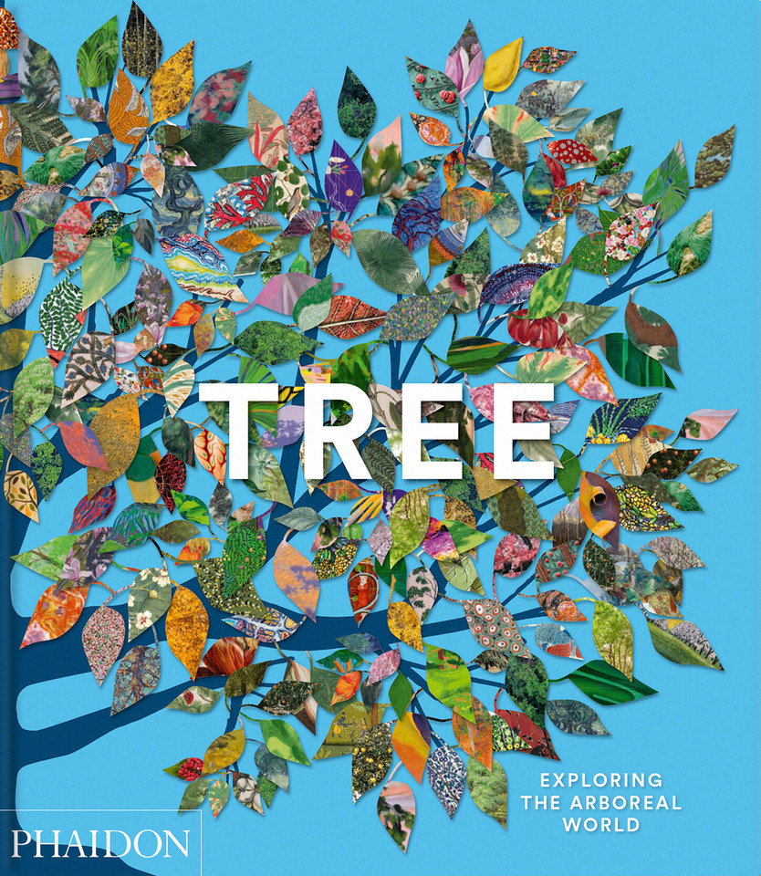 Tree: Exploring the Arboreal World book cover by Phaidon Editors