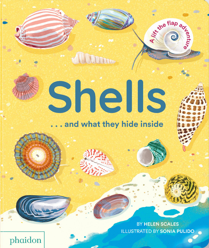 Shells... and what they hide inside: A Lift-the-Flap Adventure book cover by Helen Scales