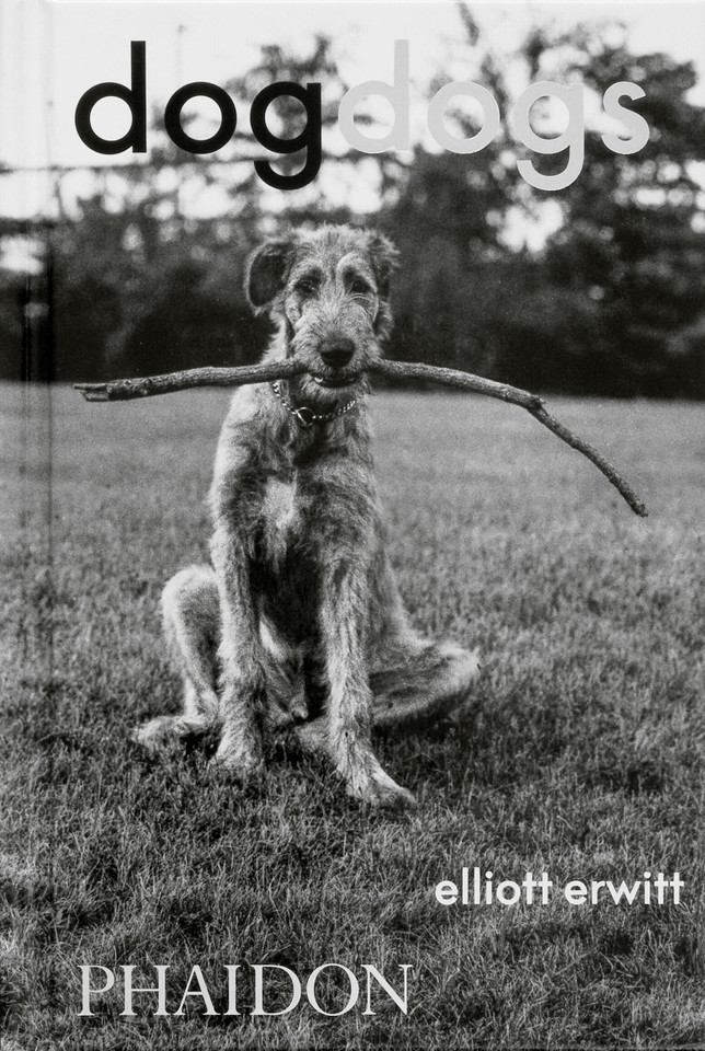 DogDogs book cover by 