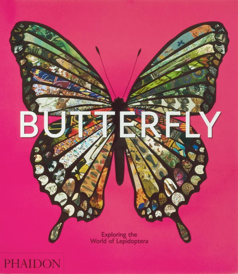 Butterfly: Exploring the World of Lepidoptera book cover by Phaidon Editors