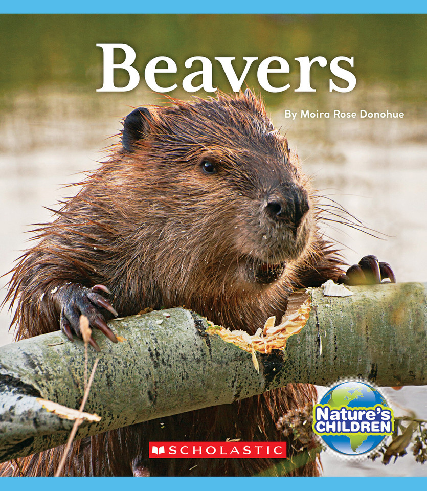 Beavers (Nature's Children) (Nature's Children, Fourth Series) book cover by Moira Rose Donohue