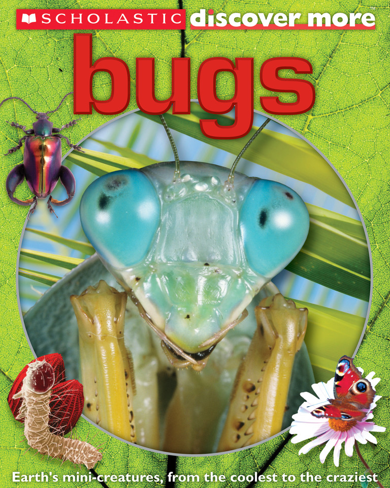 Bugs (Scholastic Discover More) (Scholastic Discover More) book cover by Penelope Arlon