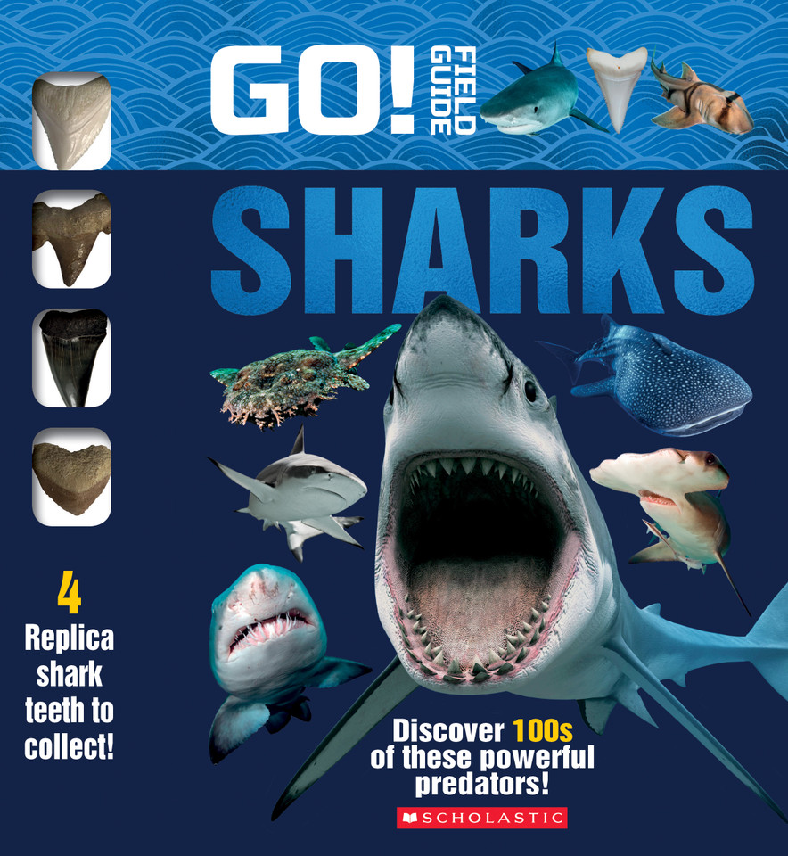 Go! Field Guide: Sharks book cover by Scholastic