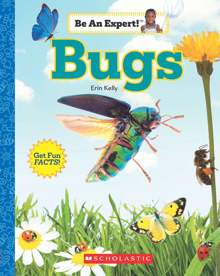 Bugs (Be An Expert!) (Be an Expert!) book cover by Erin Kelly