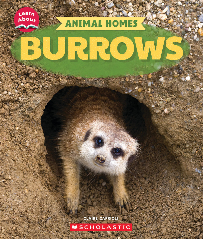 Burrows (Learn About: Animal Homes) (Learn About) book cover by Claire Caprioli