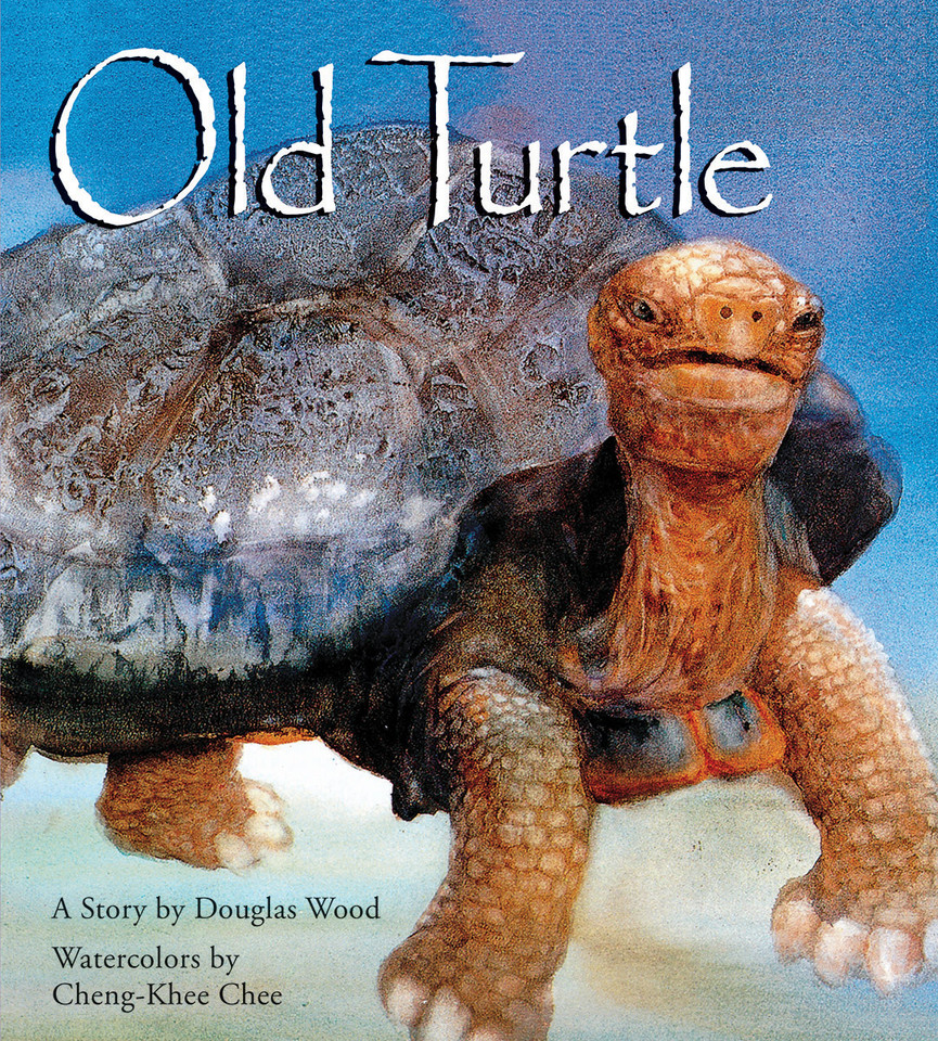 Old Turtle book cover by Douglas Wood