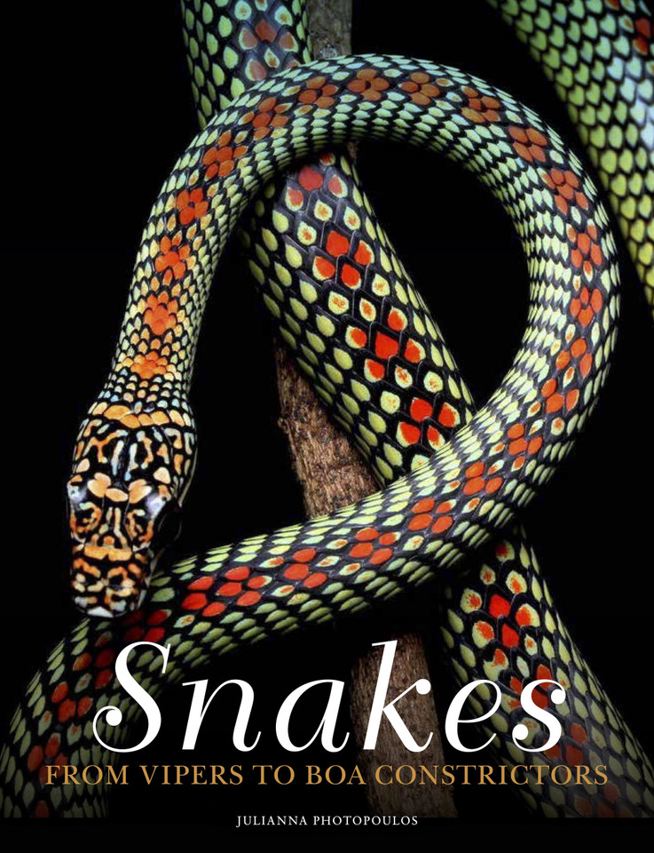 Snakes: From Vipers to Boa Constrictors (Animals in Photographs) book cover by Julianna Photopoulos