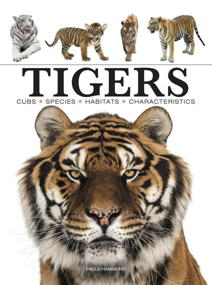 Tigers (Mini Encyclopedias) book cover by Paula Hammond