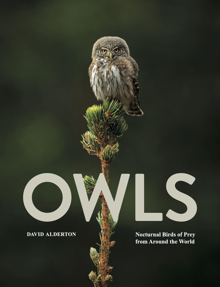 Owls: Nocturnal Birds of Prey from Around the World (Animals in Photographs) book cover by David Alderton