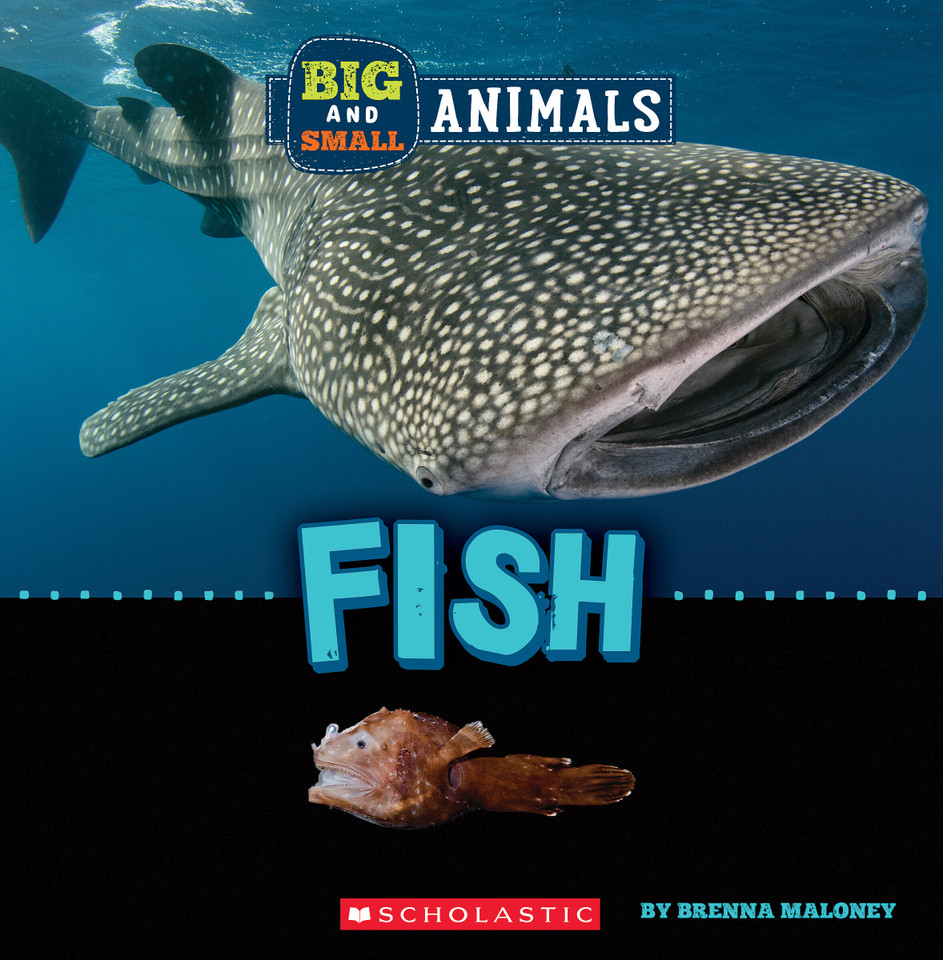 Fish (Wild World: Big and Small Animals) (Wild World) book cover by Brenna Maloney