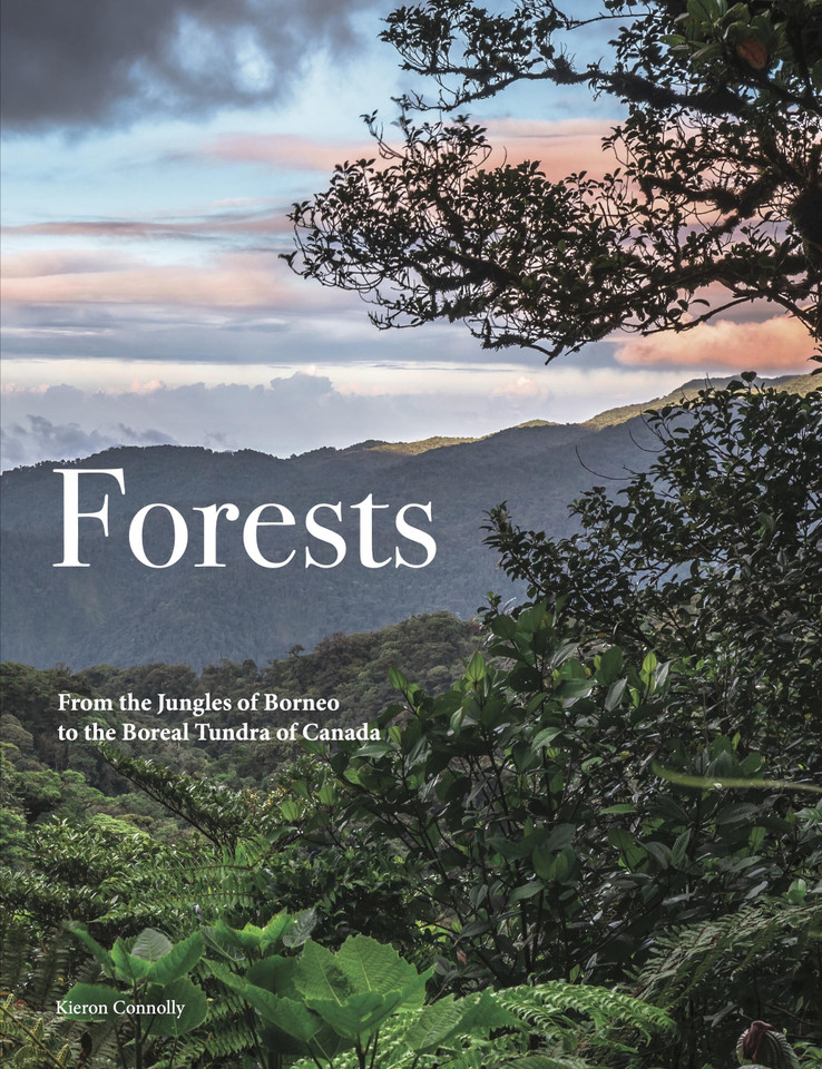 Forests: From the Amazon Rainforest to the Siberian Taiga (Travel [Portrait format]) book cover by Kieron Connolly