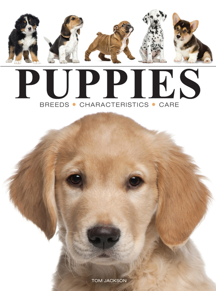 Puppies (Mini Encyclopedias) book cover by Tom Jackson