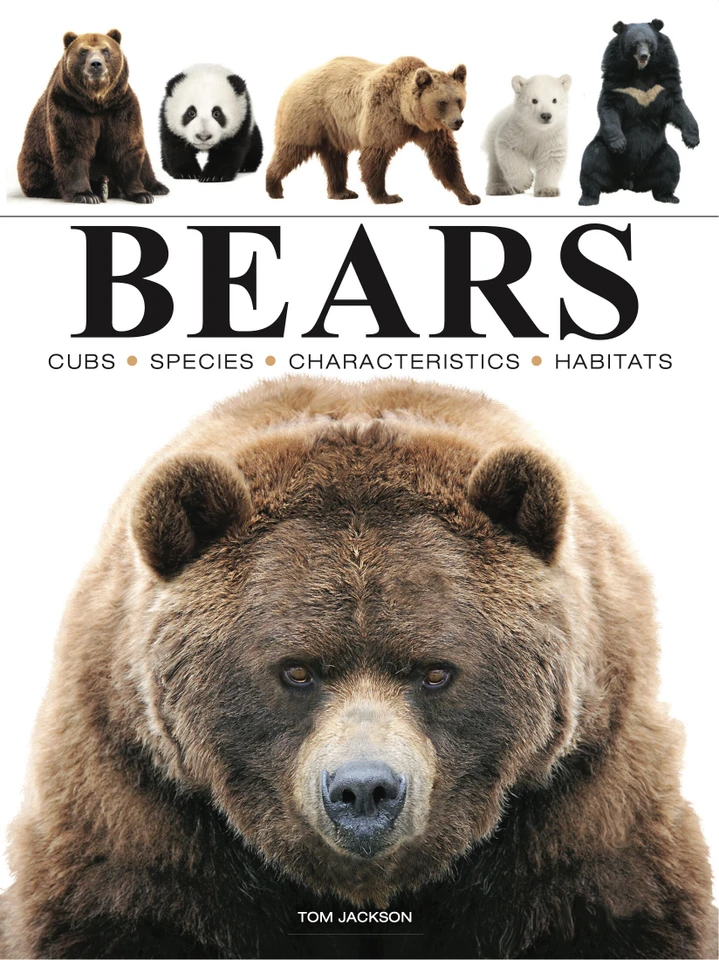 Bears (Mini Encyclopedias) book cover by Tom Jackson