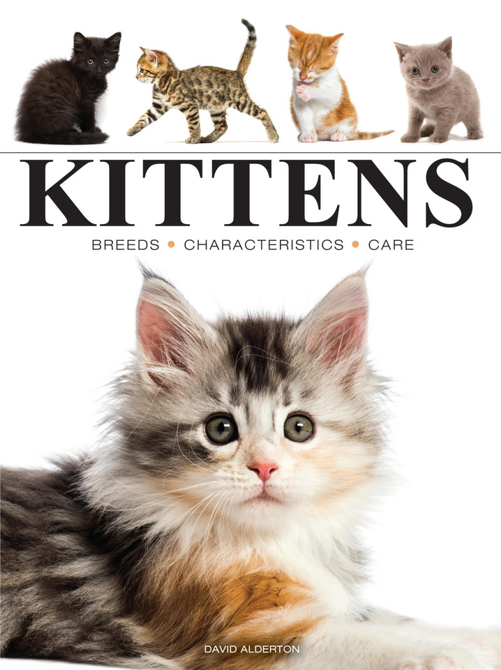 Kittens (Mini Encyclopedias) book cover by David Alderton