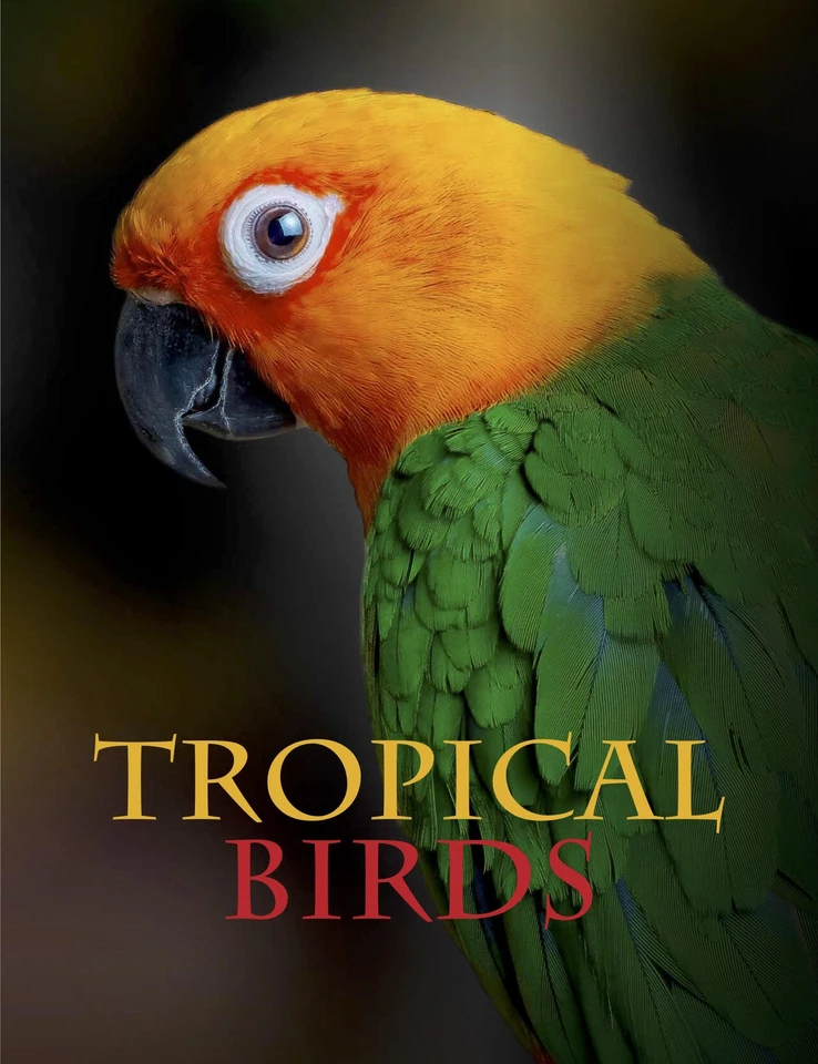 Tropical Birds (Animals in Photographs) book cover by Tom Jackson