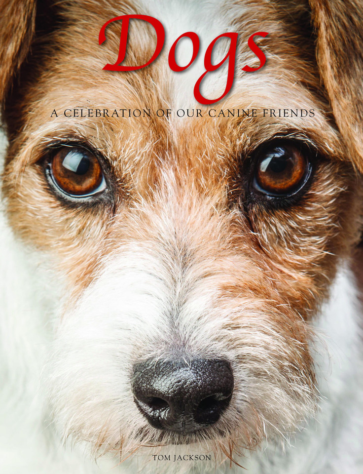Dogs: A Celebration of our Canine Friends (Animals in Photographs) book cover by Tom Jackson