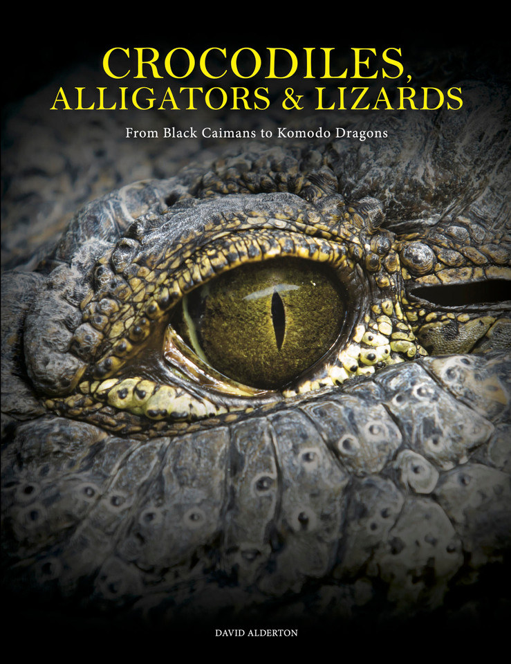 Crocodiles, Alligators & Lizards: From Black Caimans to Komodo Dragons (Animals in Photographs) book cover by David Alderton