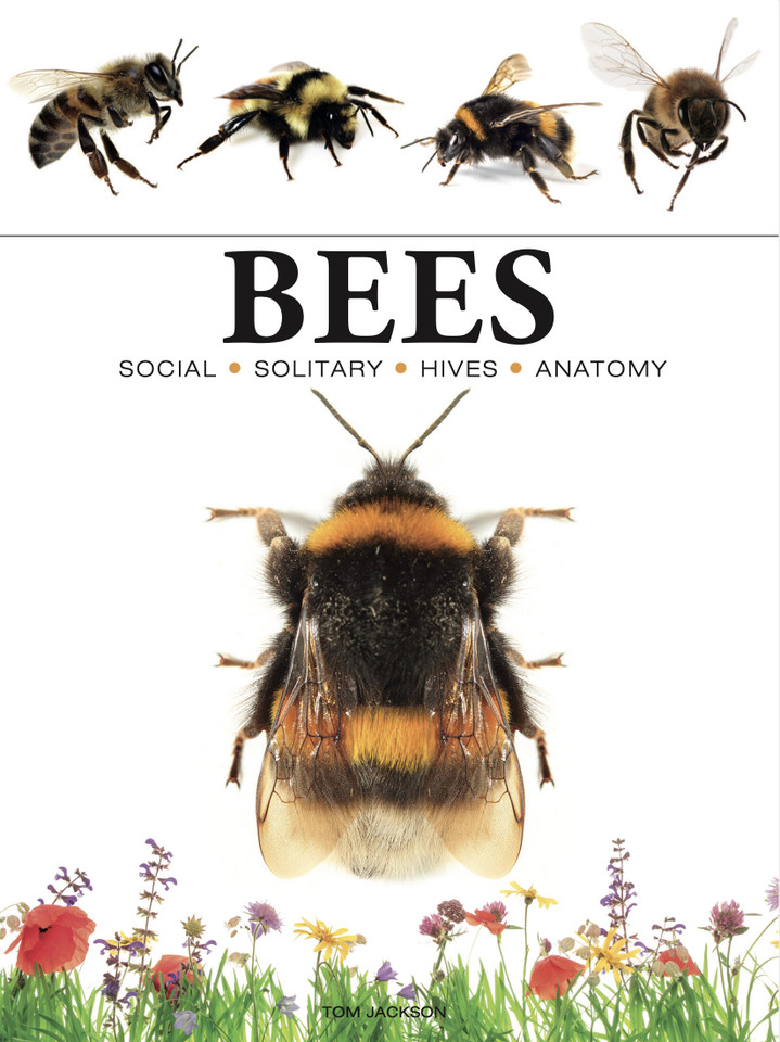 Bees: Heroes of the Garden (Mini Encyclopedias) book cover by Tom Jackson