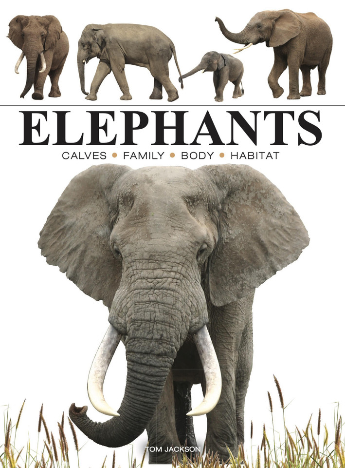 Elephants (Mini Encyclopedias) book cover by Tom Jackson