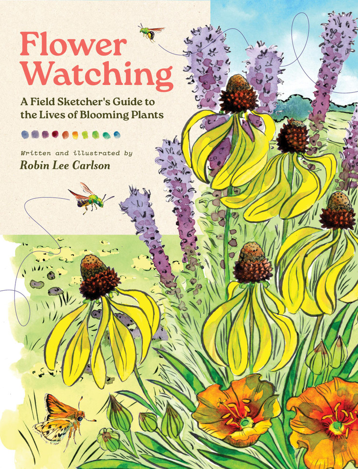 Flower Watching: A Field Sketcher's Guide to the Lives of Blooming Plants book cover by Robin Lee Carlson