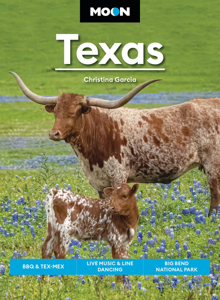Moon Texas: BBQ & Tex-Mex, Live Music & Line Dancing, Big Bend National Park (Moon U.S. Travel Guide) book cover by Christina Garcia, Moon Travel Guides