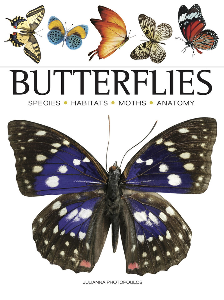Butterflies: Beautiful Flying Insects (Mini Encyclopedias) book cover by Julianna Photopoulos