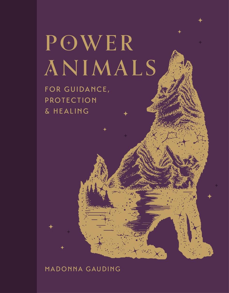Power Animals: For Guidance, Protection and Healing book cover by Madonna Gauding