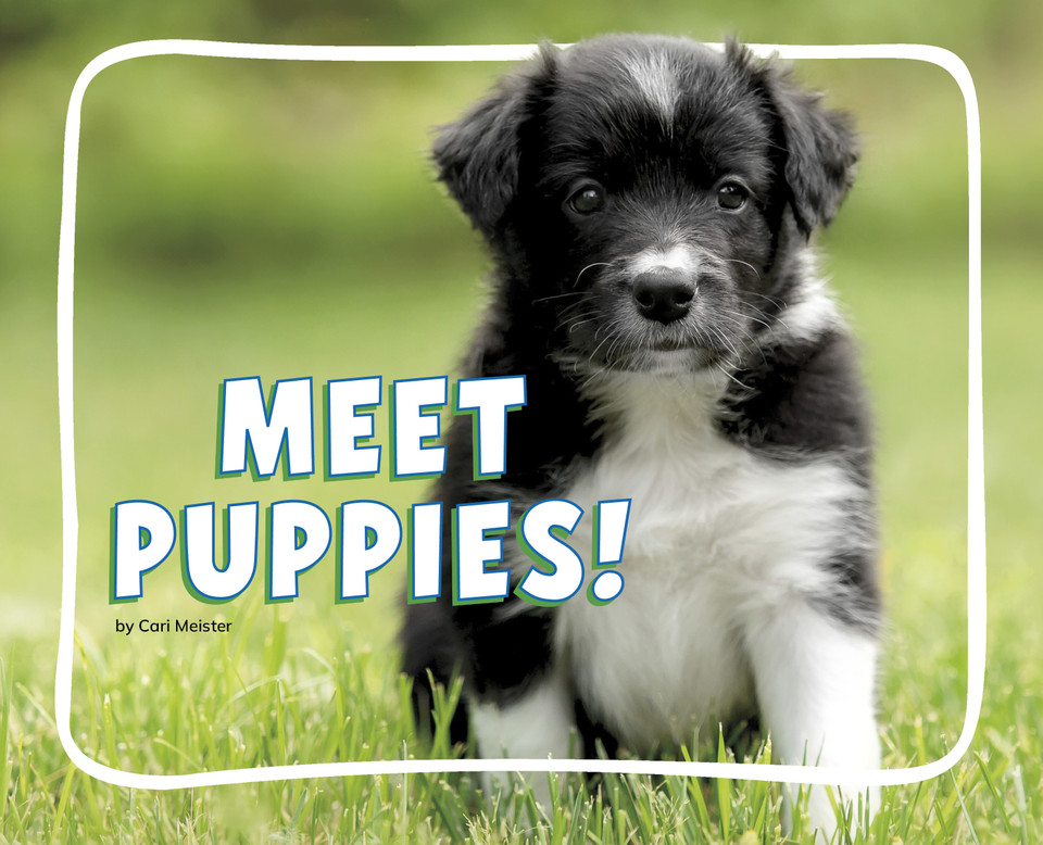 Meet Puppies! (Knowledge Builders: Adorable Baby Animals) book cover by Cari Meister
