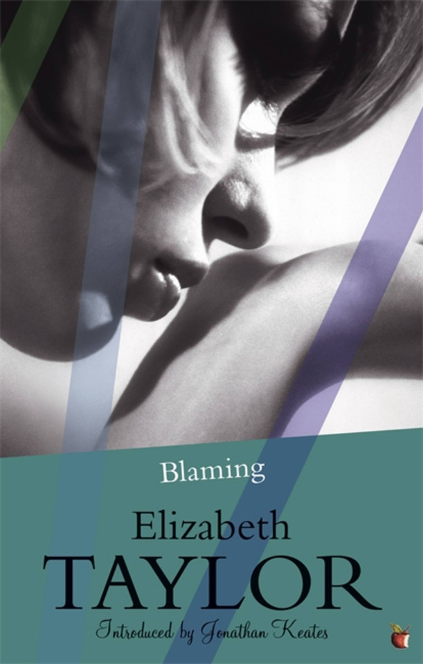 Blaming book cover by Elizabeth Taylor