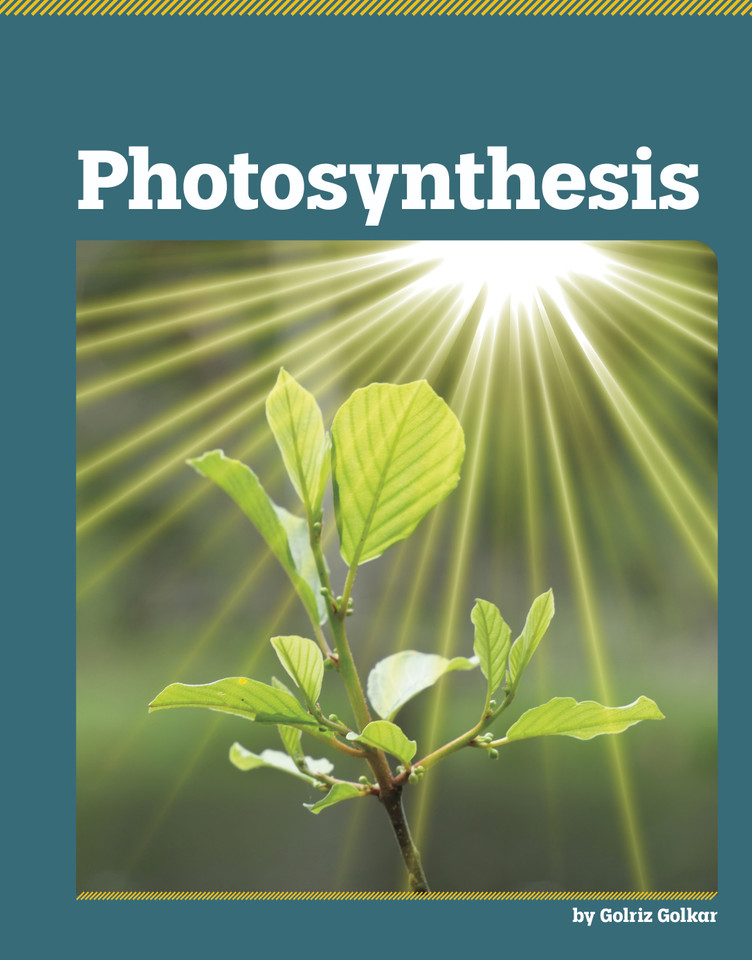 Photosynthesis (Exploring Life Science) book cover by Golriz Golkar