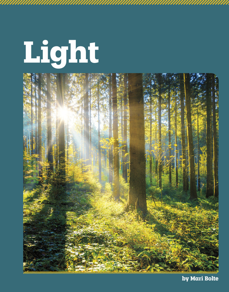 Light (The Basics of Physics) book cover by Mari Bolte