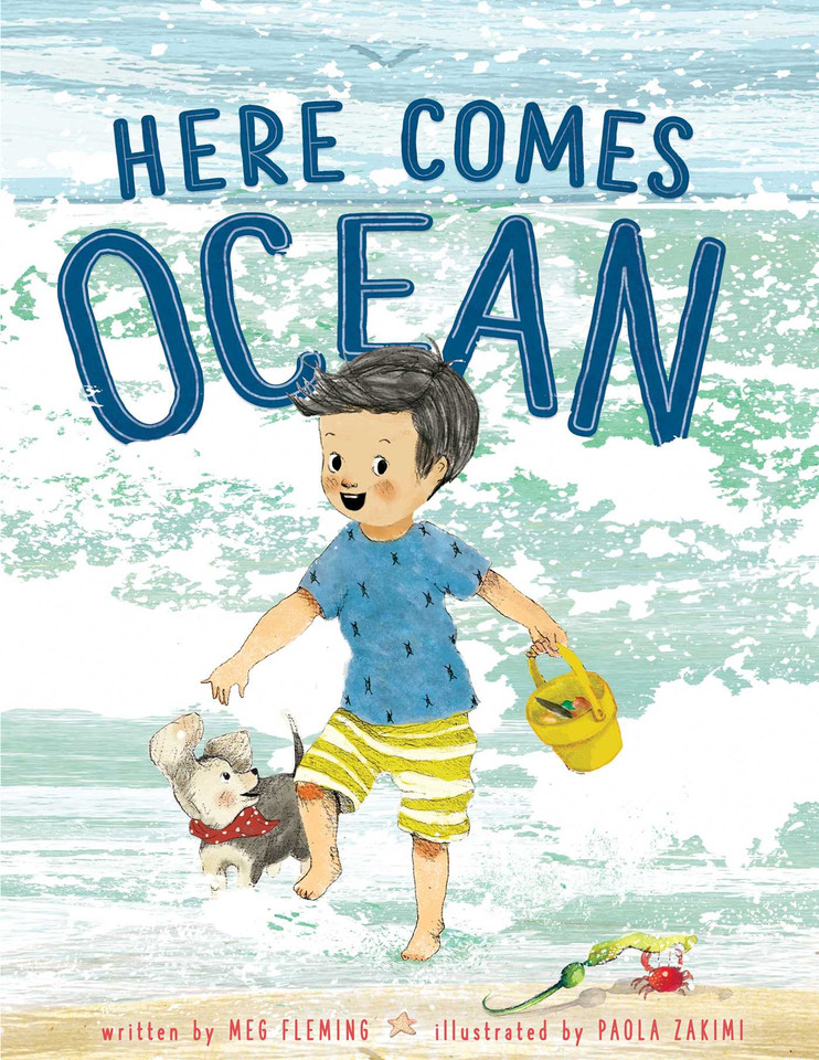 Here Comes Ocean book cover by Meg Fleming