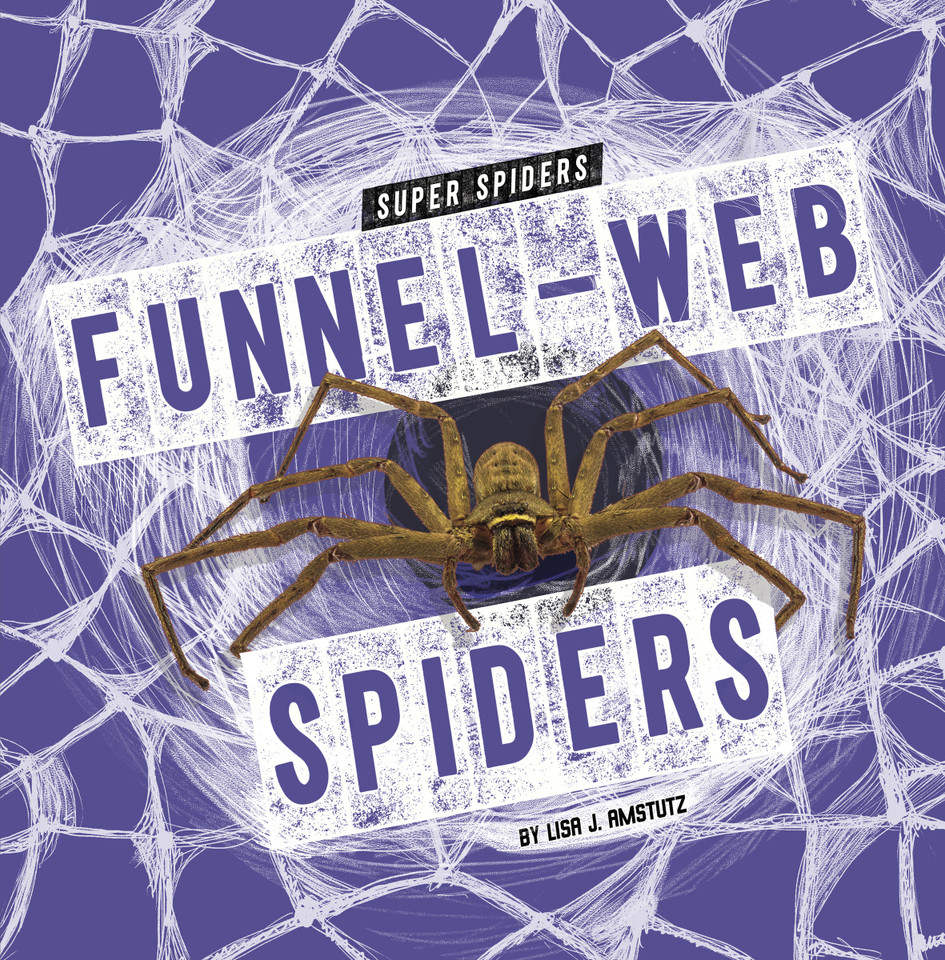 Funnel-Web Spiders (Super Spiders) book cover by Lisa J. Amstutz