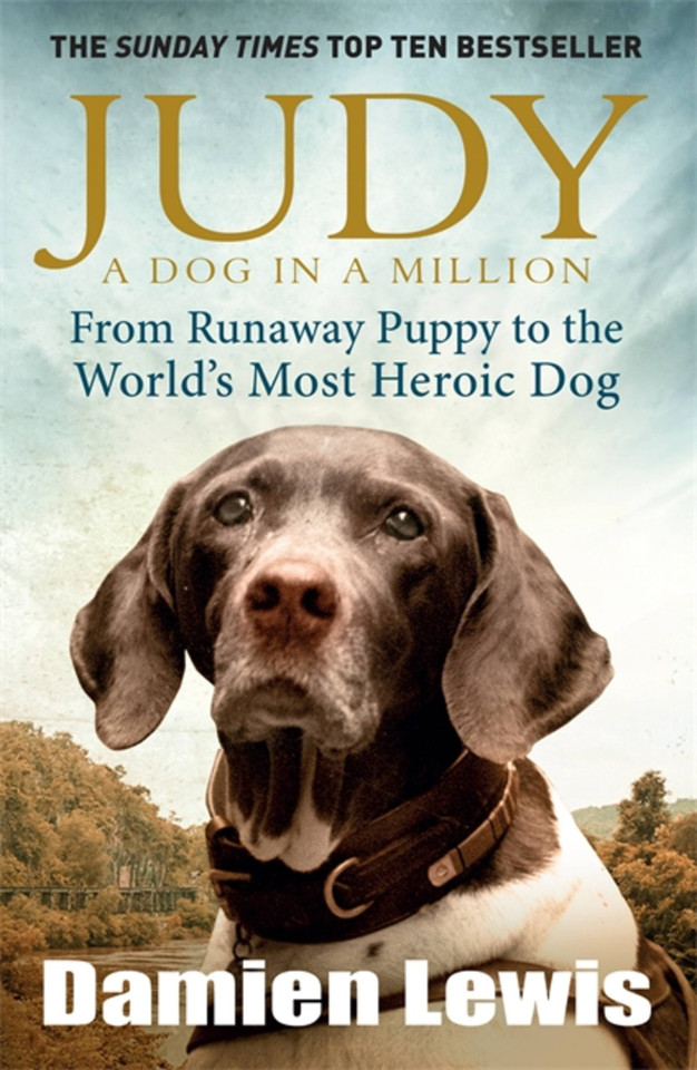 Judy: The Unforgettable Story of the Dog Who Went to War and Became a True Hero book cover by Damien Lewis