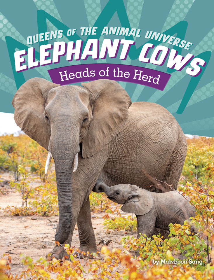 Elephant Cows: Heads of the Herd (Queens of the Animal Universe) book cover by Maivboon Sang
