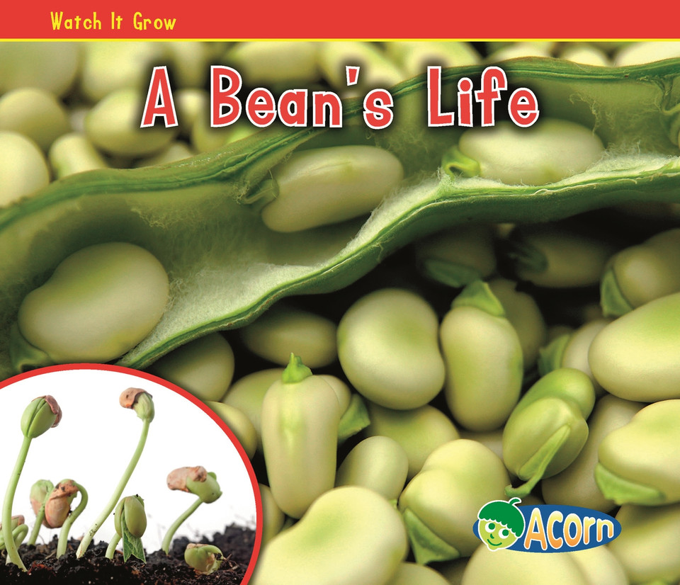A Bean's Life (Watch It Grow) book cover by Nancy Dickmann