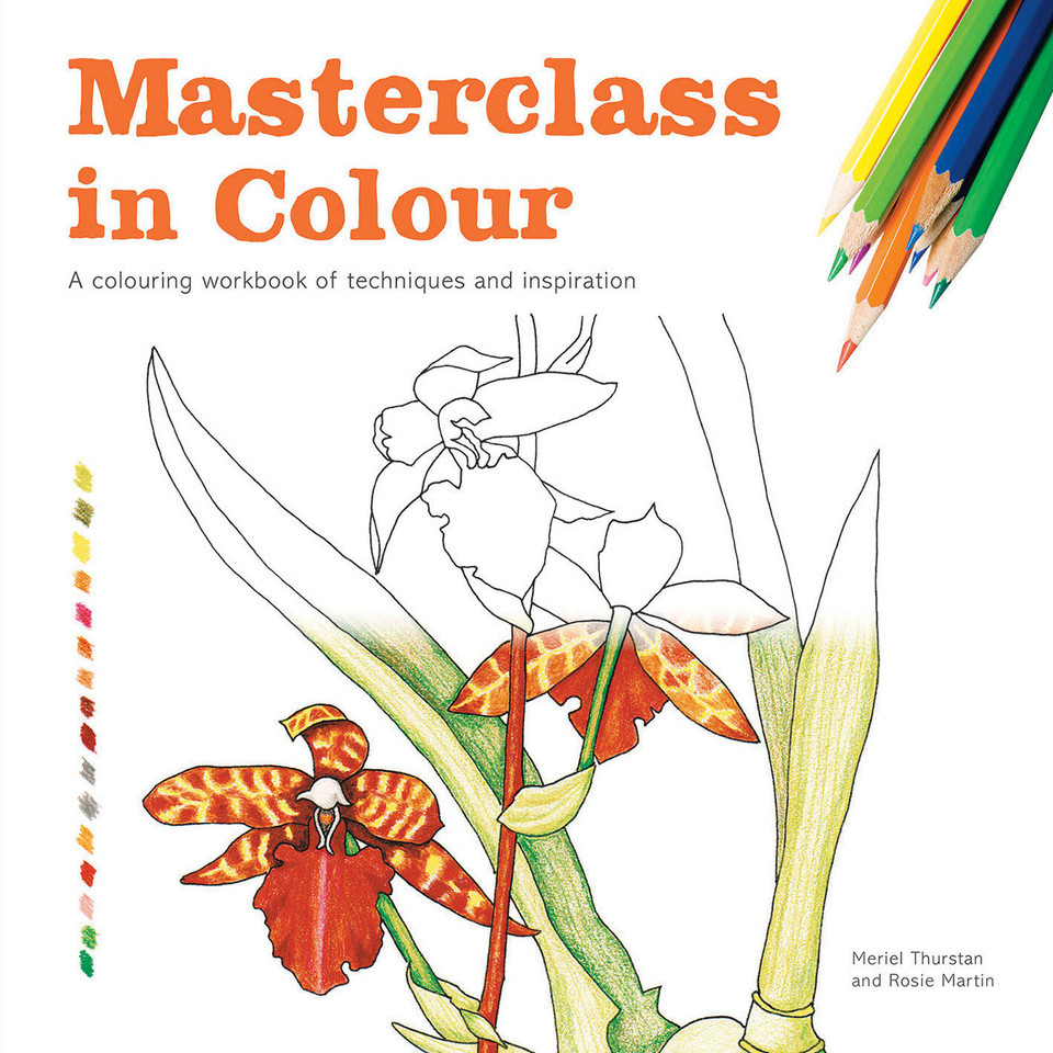 Masterclass in Colour: A Colouring Workbook Of Techniques And Inspiration book cover by Meriel Thurstan, Rosie Martin