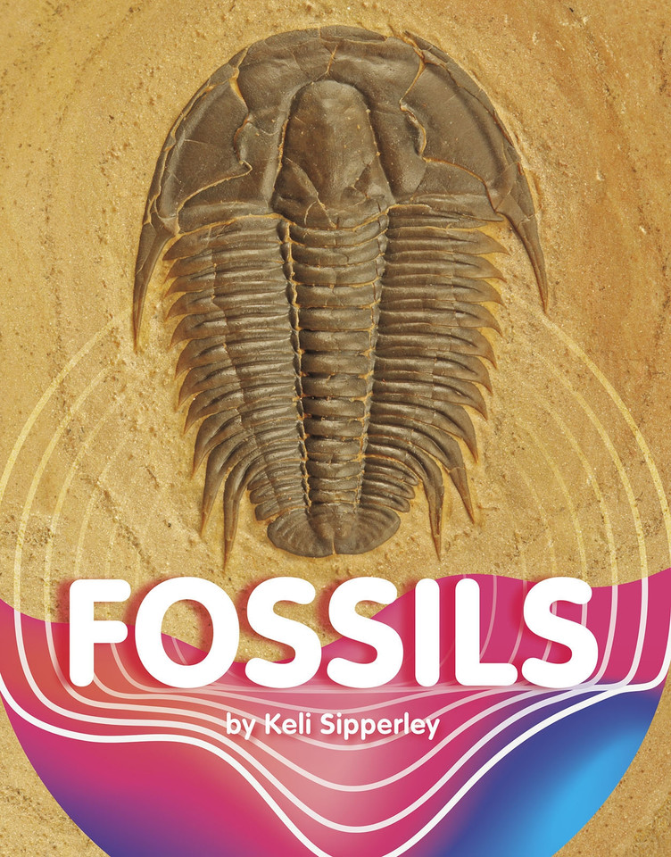 Fossils (Earth Materials and Systems) book cover by Keli Sipperley