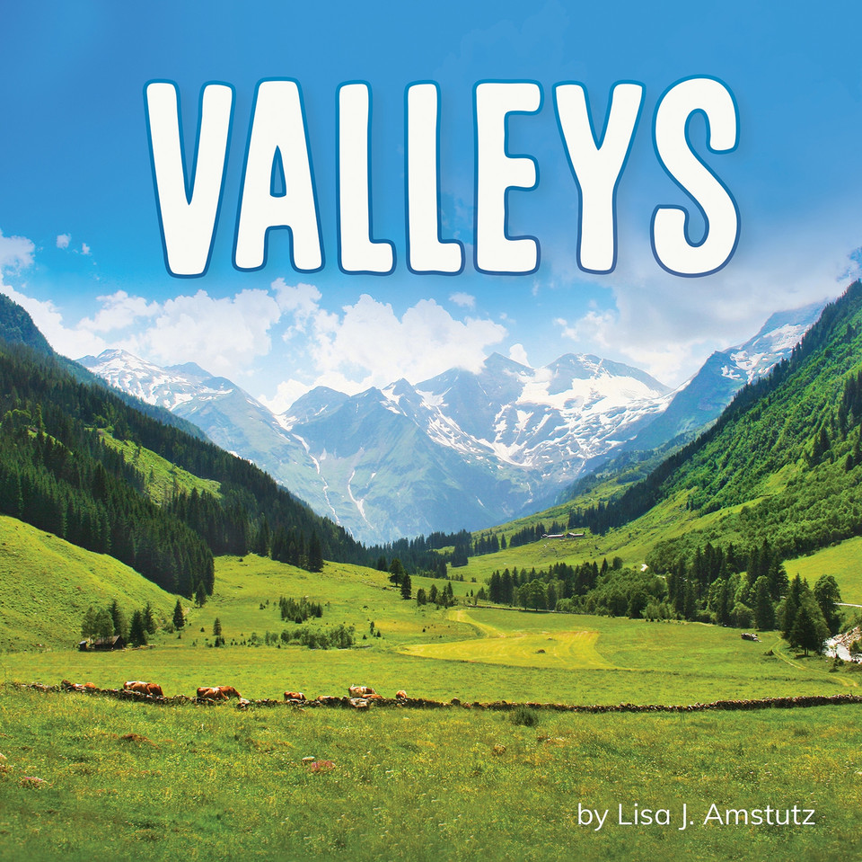 Valleys (Earth's Landforms) book cover by Lisa J. Amstutz